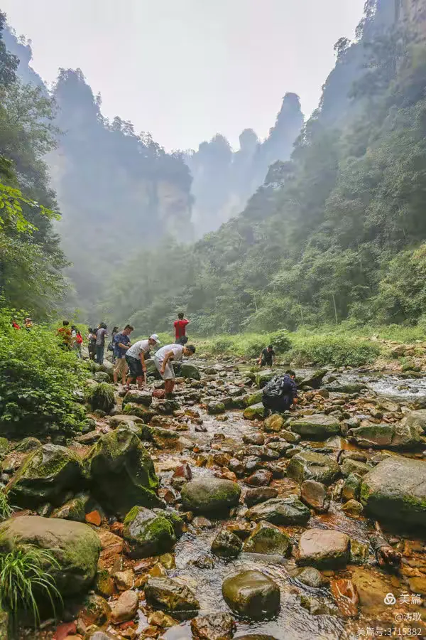 张家界有个大峡谷——金鞭溪